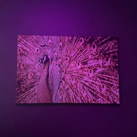 Апартаменты Exil Deluxe Берлин