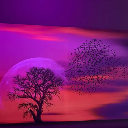 Exil Deluxe * Berlín