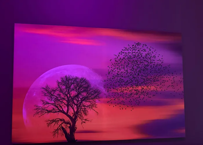 Exil Deluxe * Berlín